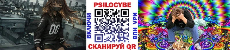 Псилоцибиновые грибы мицелий  Ессентукская 