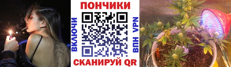 ОМГ ОМГ ССЫЛКА  Ессентукская  Шишки марихуана Amnesia  где продают наркотики 